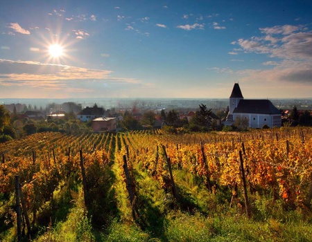 Séjour détente avec dégustation au cœur des Châteaux de la Loire 4* - 2