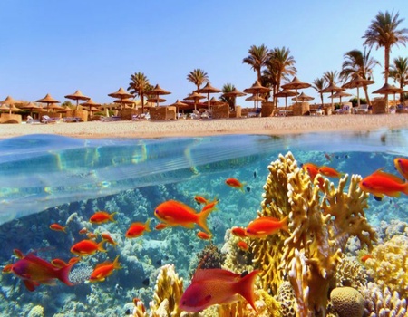 Circuit Opération Pharaons à la Plage - Grand Musée Egyptien (GEM) inclus - 3