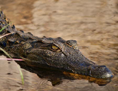 Circuit Des Chutes Victoria au Désert du Namib - 2