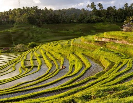 Circuit Privé Duo Bali Lombok - Indonésie - 4