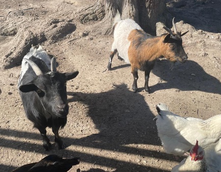 Camping Aqua 3 Masses, 3* - 5