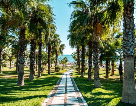 Sural Resort Hotel 5* - 3