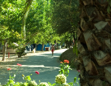 Camping La Liscia, 3* - 4