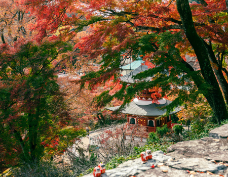 Circuit Japon Eternel, Temples et Torii au Pays du Soleil Levant - 4