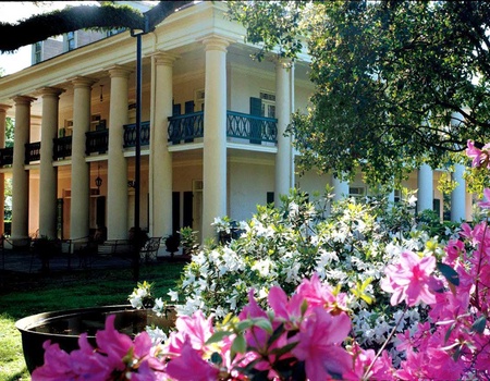 Circuit Bayous et plantations - 5