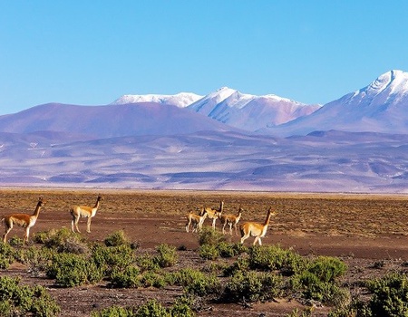 Circuit Couleurs andines *** - 3