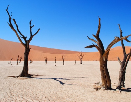 Circuit Namibie : Les plus vieux déserts du Monde - Afrique Océan Indien, Namibie - Image 1