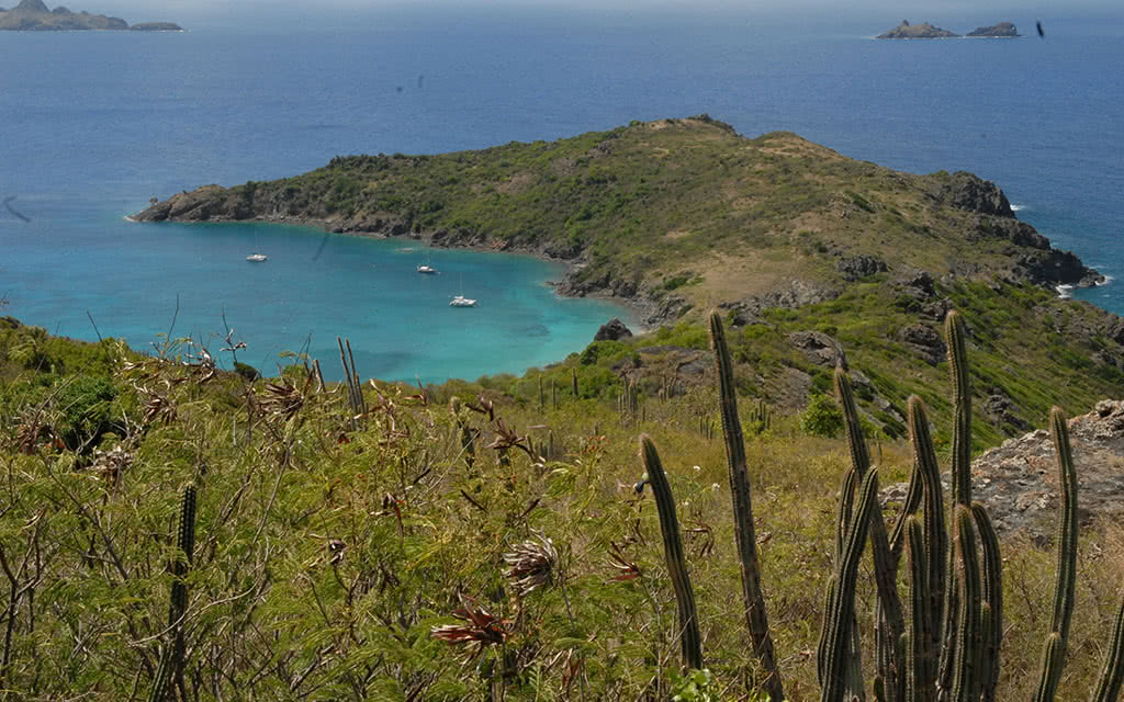 Croisière St Barth Dream Premium - 8 jours 7 nuits - 5