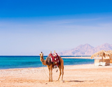 Circuit Opération Pharaons à la Plage - Grand Musée Egyptien (GEM) inclus - 5
