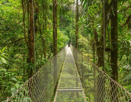 Immersion au Costa Rica 12J/10N - 2025 - 2