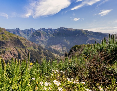 Au coeur de Madère - Logement en hôtel 4* Muthu Raga Madeira - Madère