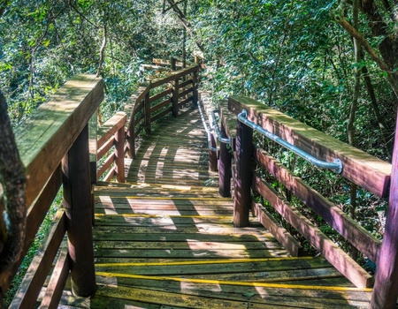 Autotour Safaris & Canyon Sud-Africains - 9J/6N - 5