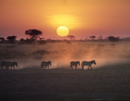 Combiné circuit et hôtel Diamonds Leisure Beach avec 2 nuits safari Tsavo Est/Ouest ****
