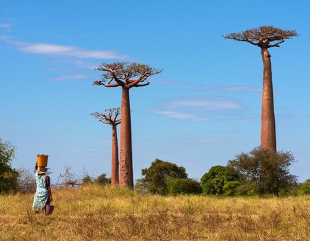 Circuit Splendeurs de Madagascar