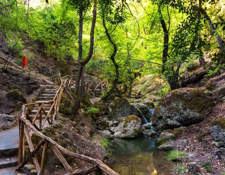 Circuit en Etoile depuis l'hôtel Virginia 4* - 4