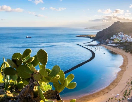 Circuit Echappée canarienne depuis l'hôtel Riu Buenavista 4* - Arrivée aéroport Tenerife Sud - 2