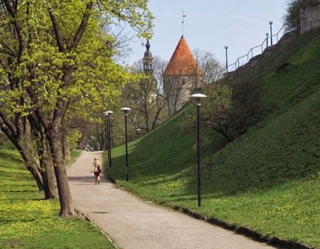 Circuit Couleurs des pays baltes 4* - 5