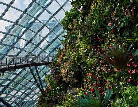 Circuit Privé Singapour et Flânerie balinaise, Indonésie - 5