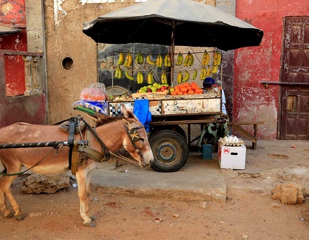 Circuit Saveurs du Sénégal - 4