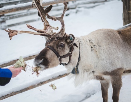 Séjour Multi-activités Réveillon du Nouvel An à l'hôtel Saaga 7J/6N - 3