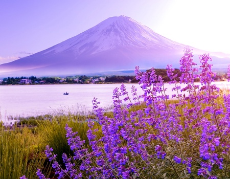 Circuit individuel: Monts et mers veillent en 3*ou 4* - 1