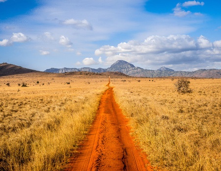 Combiné circuit et hôtel Neptune Palm Beach Boutique Resort & Spa 4* avec 1 nuit Tsavo Est - 4