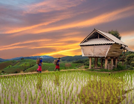 Circuit Privatif Le Vietnam Autrement - 3