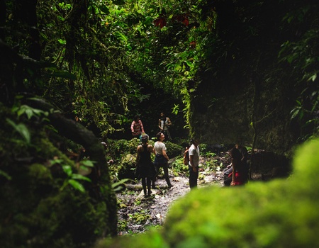 Entre la cordillère des Andes et l'Amazonie - 5