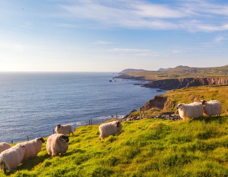 Circuit Rêve émeraude, l'Irlande du Nord 3*