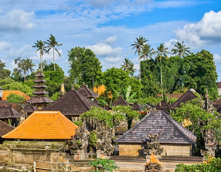 Circuit Découverte et détente à Ubud et Sanur - 4