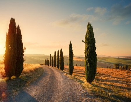 Autotour Balade en Toscane : route des vins en 3 nuits *** - 3