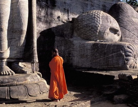 Circuit privé Ceylan en liberté - 3