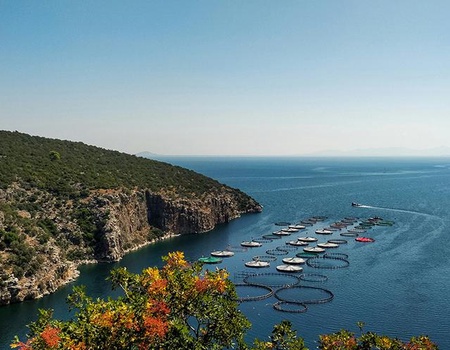 Péloponnèse & Macédoine - 5