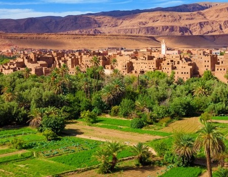 Circuit Boucles Sahariennes en 4x4 (circuit privé) - 4