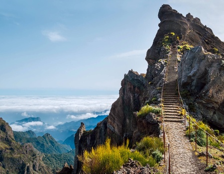 Circuit Madère sauvage : chemins d'eau et crêtes vertigineuse *** - 5