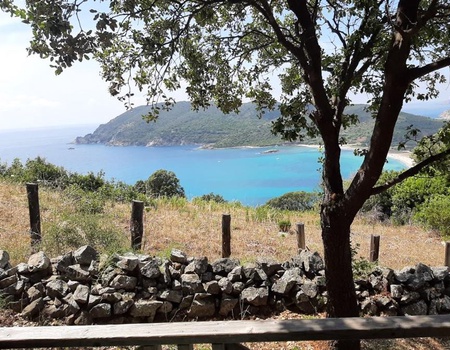 Flower Camping Torraccia 3* - 5