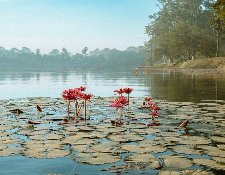 Combiné circuit et hôtel Voyage en terre cambodgienne : d'Angkor à l'île oubliée ***** - 5