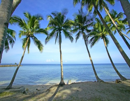 Secrets des Visayas - 11 jours / 10 nuits - Bohol Cebu, Philippines - Image 2
