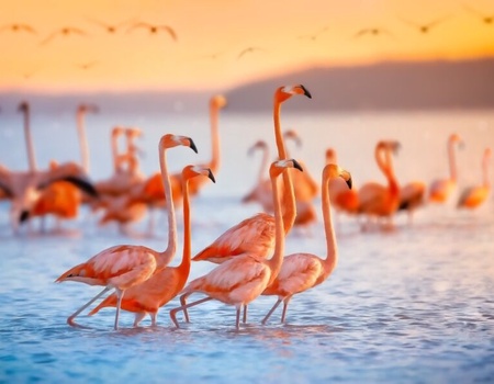 Autotour A La Decouverte Du Yucatan - De Cancun A Cancun - 3