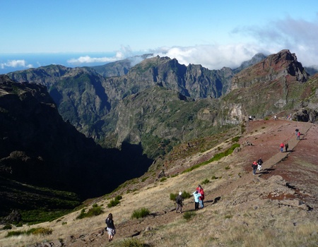 Au coeur de Madère - Logement en hôtel 5* à Funchal - Flex - Madère - 1