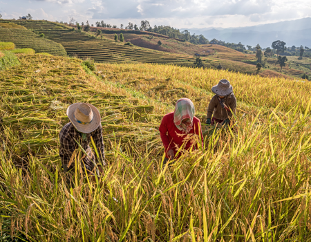 Circuit Trekking et Aventures, sur la Piste des Tribus du Nord - 3