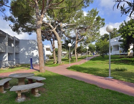 Hôtel Aluasun Cala Antena 3* - Majorque, Baléares - Image 4