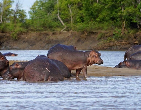 Combiné Ôclub Select SBH Monica Zanzibar 5* et Safari 2 nuits - 4