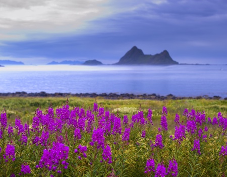 Circuit Mythiques Arctique, Lofoten & Cap Nord - 3