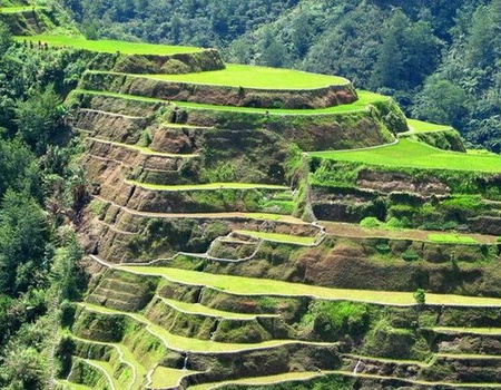 Couleurs Philippines + séjour Panglao 3*sup - 5