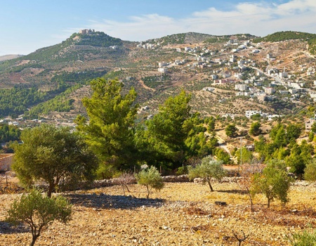 Sur la route : Trésors de Jordanie - 8J/7N - 5