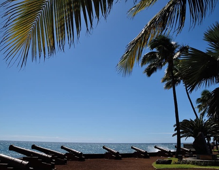 Hôtel L'Austral *** - 5