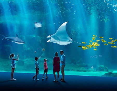 Séjour avec dîner et entrées à l'Aquarium de Nausicaa - 3*