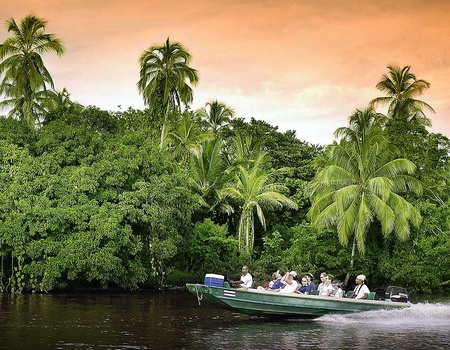 Road Trip L'Éden vert - 4