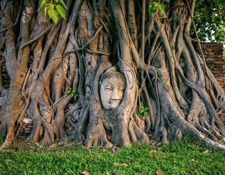 Circuit Voyage en pays thaï : de la capitale aux confins du nord - 2